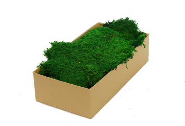 Premium Preserved Flat Moss Medium Green 200g Box